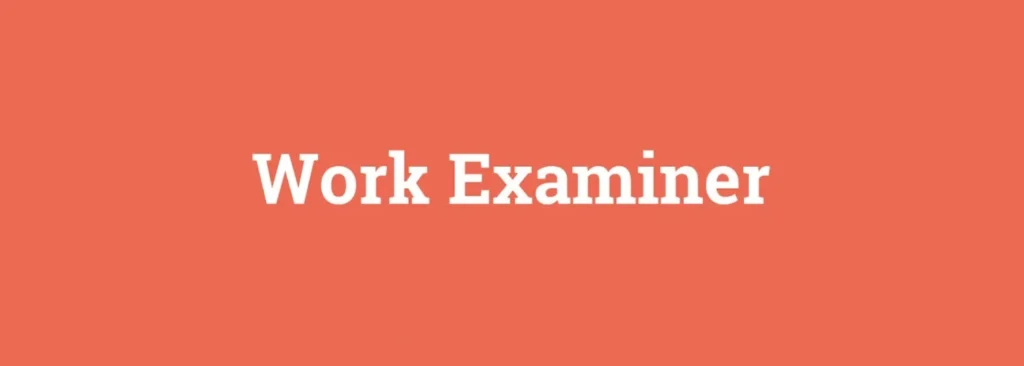 Work Examiner logo banner